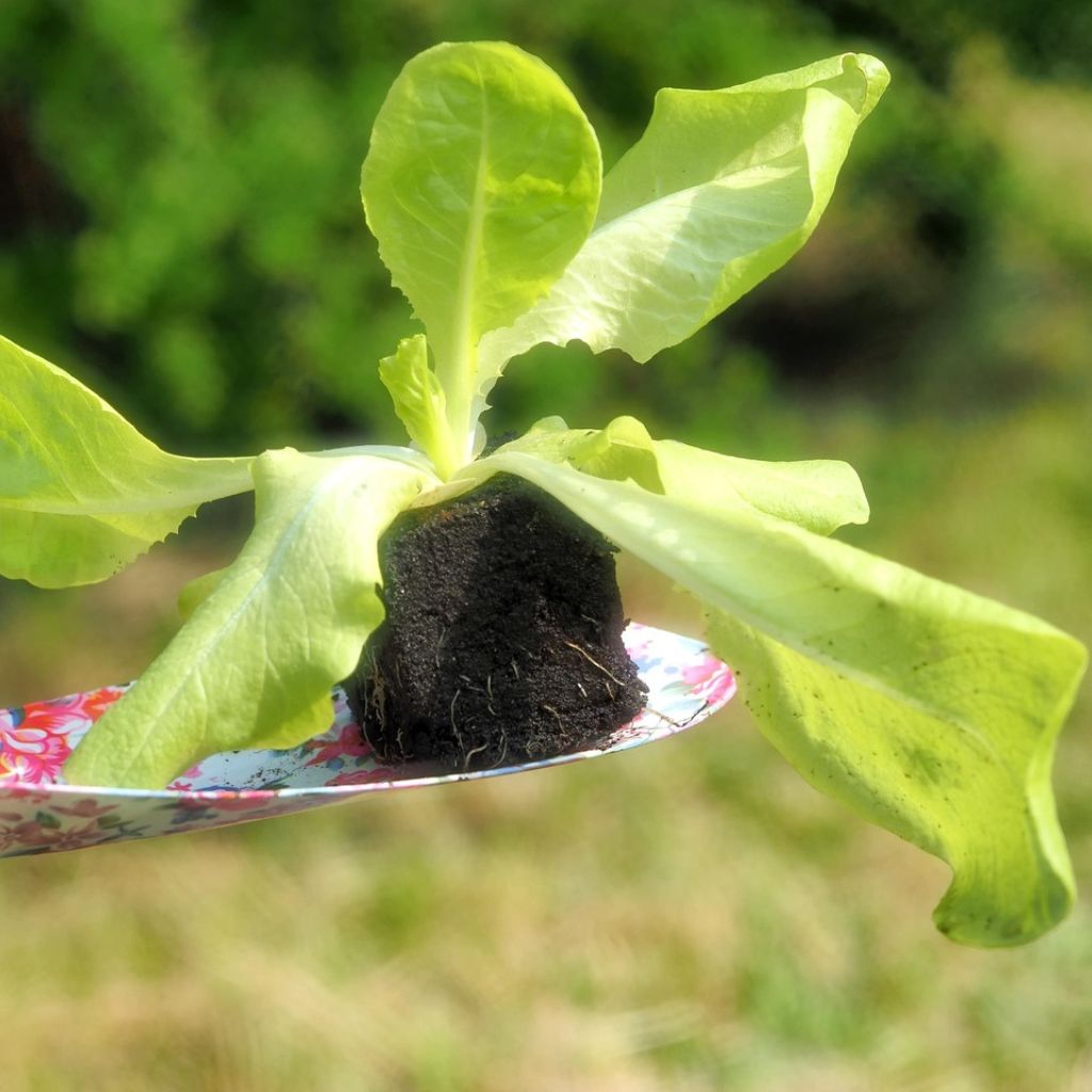 Návrh bez názvu (80)